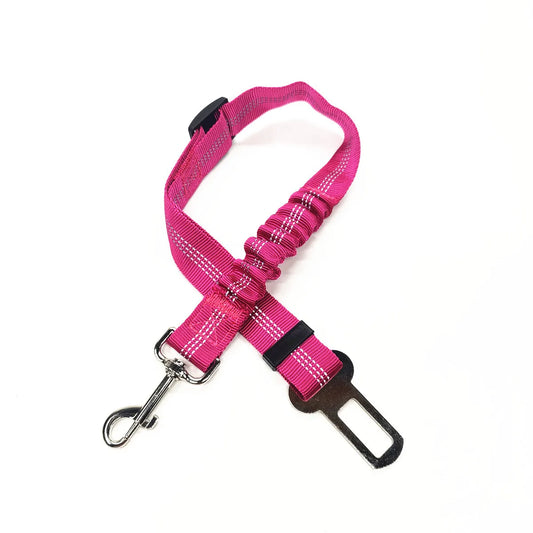 Seat Belt Leash